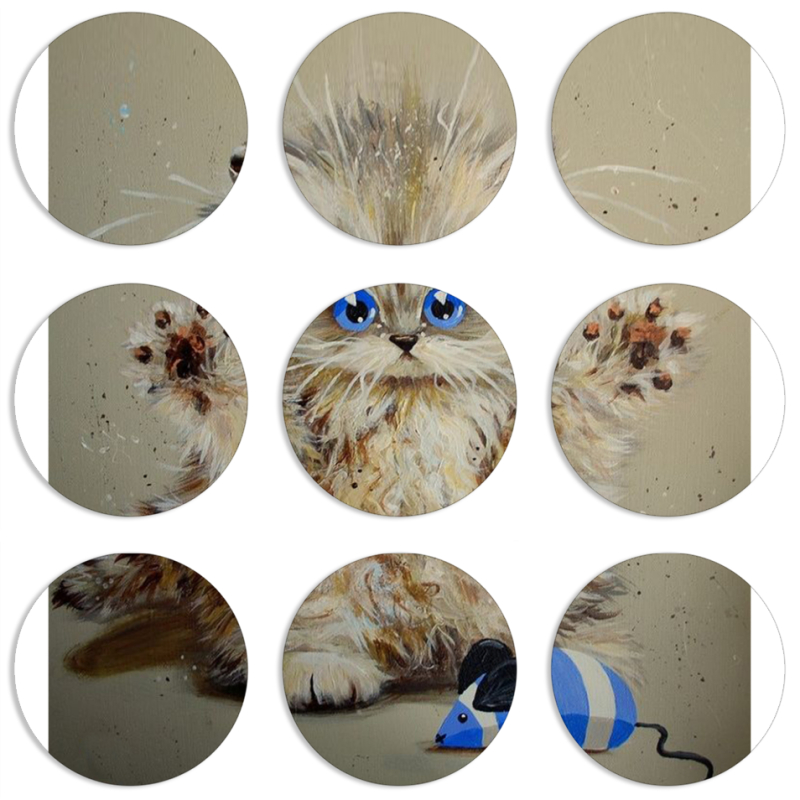 Магнитные фотопазлы круги d55 набор 9 штук 