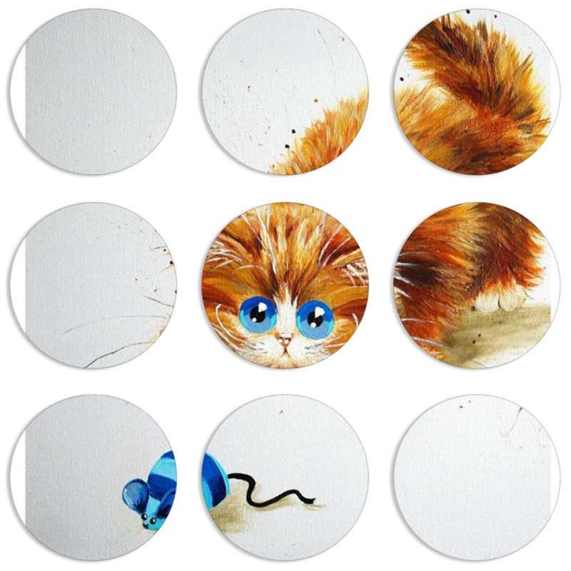 Магнитные фотопазлы круги d55 набор 9 штук 