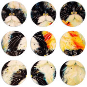 Магнитные фотопазлы круги d55 набор 9 штук 