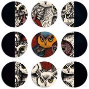 Магнитные фотопазлы круги d55 набор 9 штук 