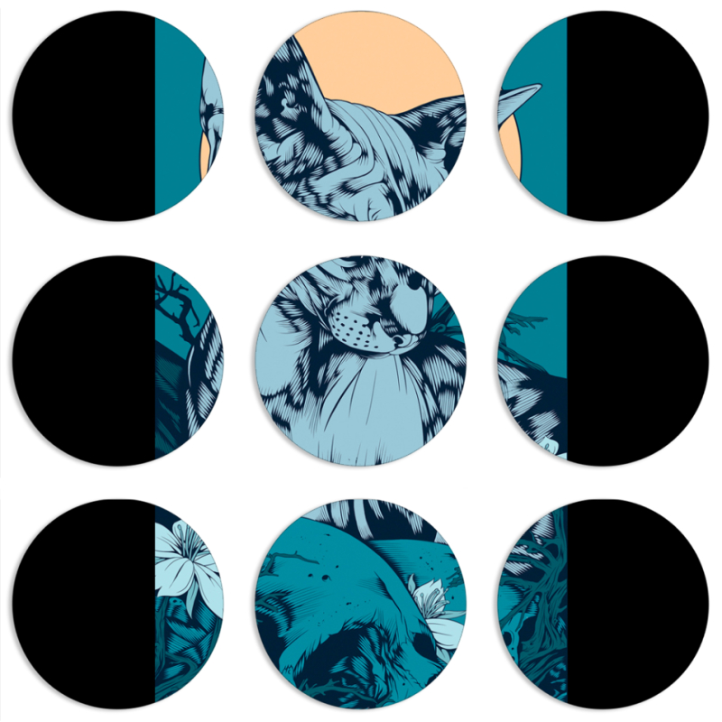 Магнитные фотопазлы круги d55 набор 9 штук 