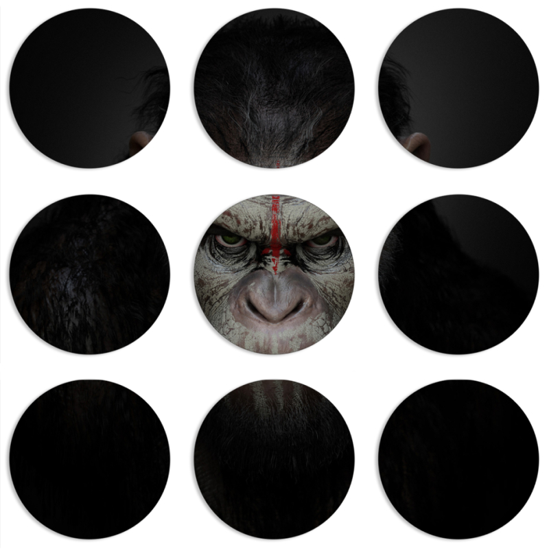 Магнитные фотопазлы круги d55 набор 9 штук 