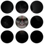 Магнитные фотопазлы круги d55 набор 9 штук 