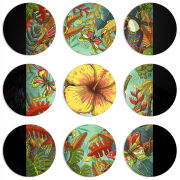 Магнитные фотопазлы круги d55 набор 9 штук 