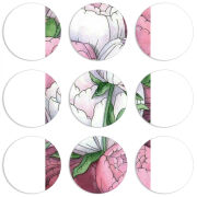 Магнитные фотопазлы круги d55 набор 9 штук 