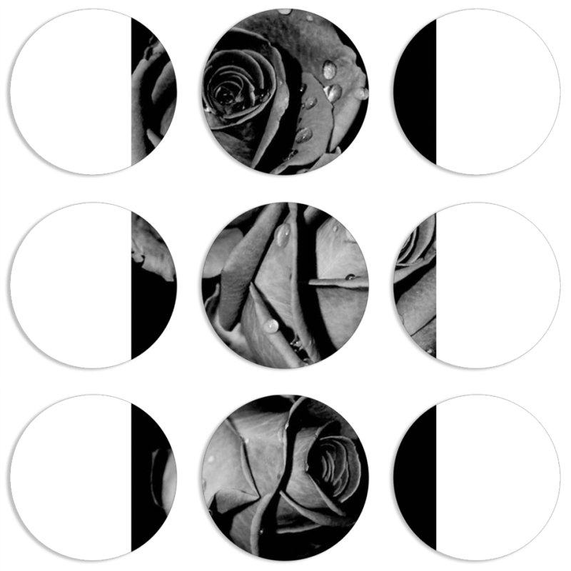 Магнитные фотопазлы круги d55 набор 9 штук Black and White Roses