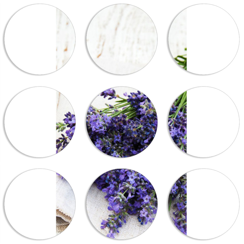 Магнитные фотопазлы круги d55 набор 9 штук 