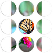 Магнитные фотопазлы круги d55 набор 9 штук 