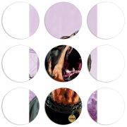 Магнитные фотопазлы круги d55 набор 9 штук 