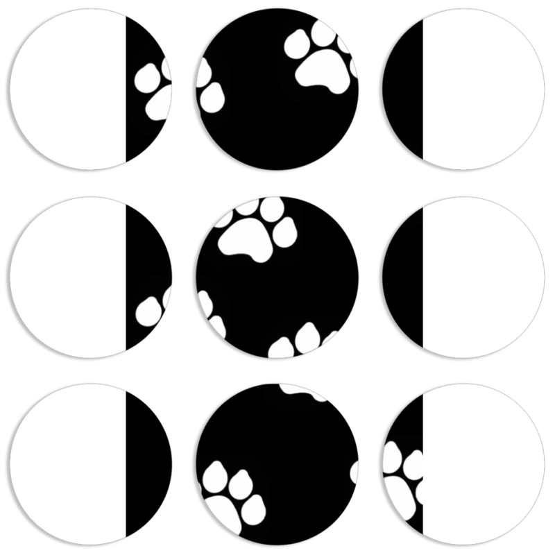 Магнитные фотопазлы круги d55 набор 9 штук 