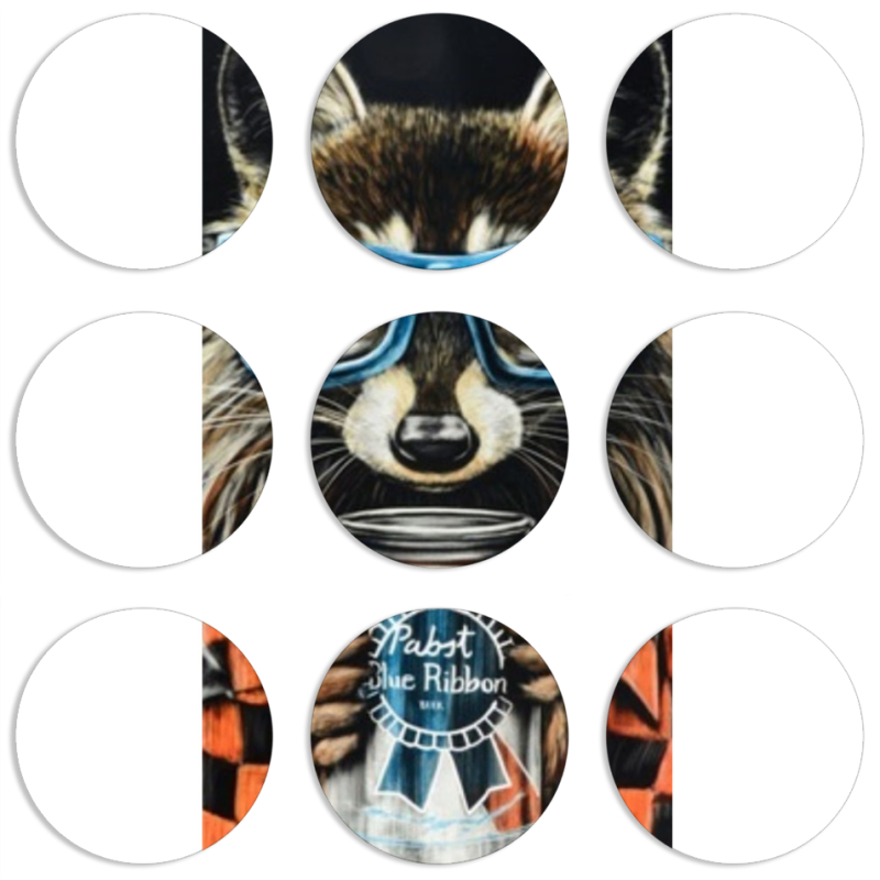 Магнитные фотопазлы круги d55 набор 9 штук Енот с банкой