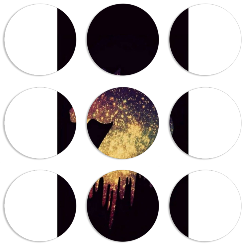 Магнитные фотопазлы круги d55 набор 9 штук 