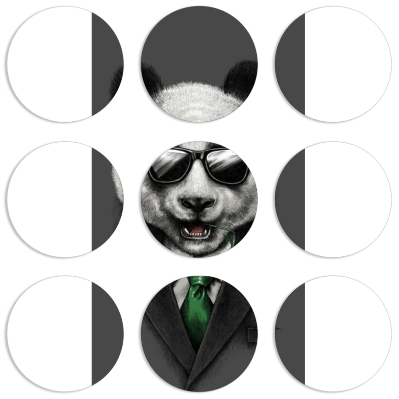 Магнитные фотопазлы круги d55 набор 9 штук 