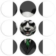 Магнитные фотопазлы круги d55 набор 9 штук 