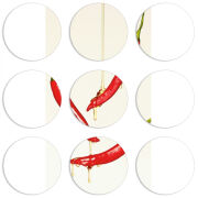 Магнитные фотопазлы круги d55 набор 9 штук 