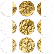 Магнитные фотопазлы круги d55 набор 9 штук 