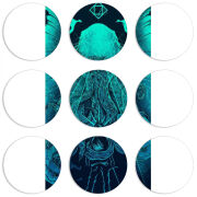 Магнитные фотопазлы круги d55 набор 9 штук 