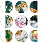 Магнитные фотопазлы круги d55 набор 9 штук 