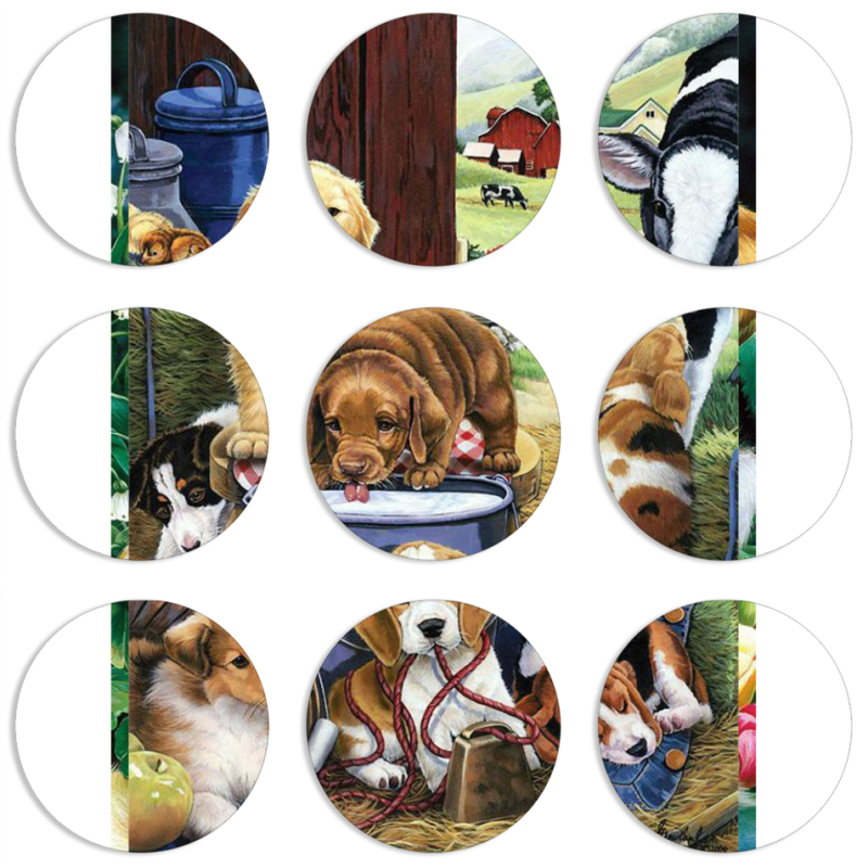 Магнитные фотопазлы круги d55 набор 9 штук 