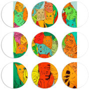 Магнитные фотопазлы круги d55 набор 9 штук 