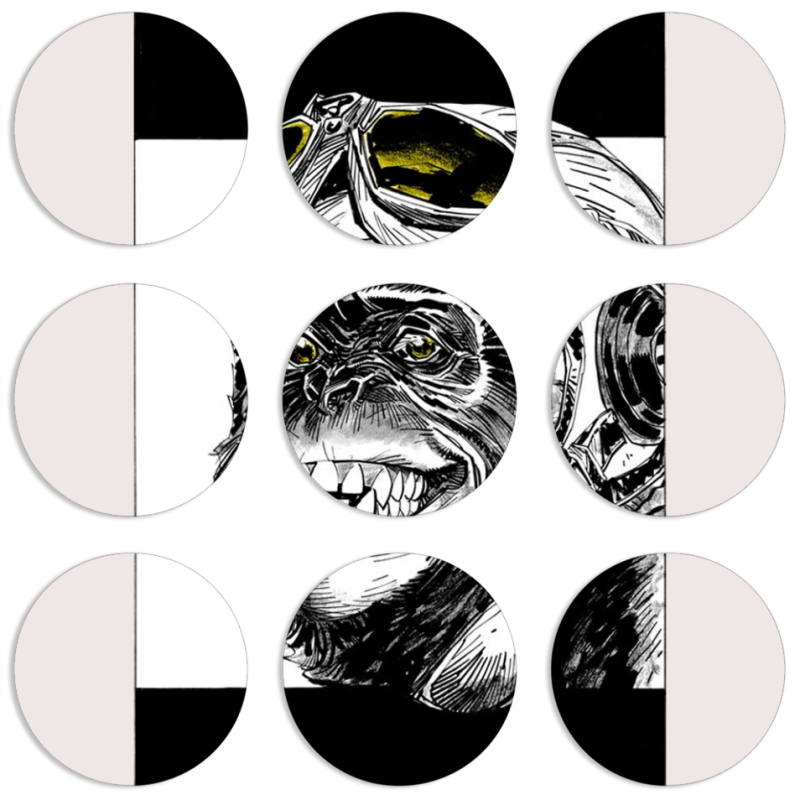 Магнитные фотопазлы круги d55 набор 9 штук 