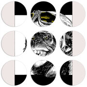 Магнитные фотопазлы круги d55 набор 9 штук 