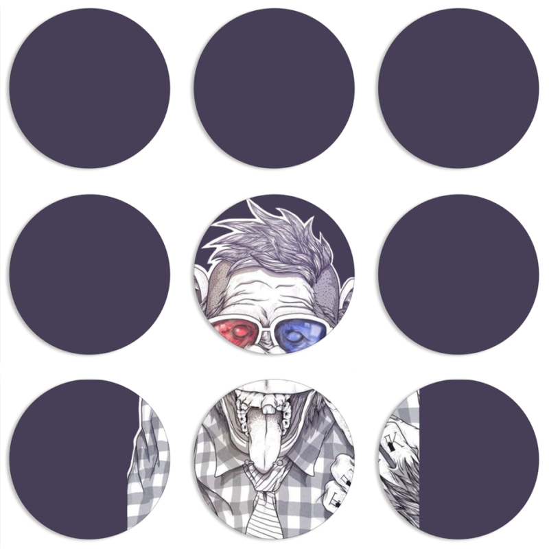 Магнитные фотопазлы круги d55 набор 9 штук 