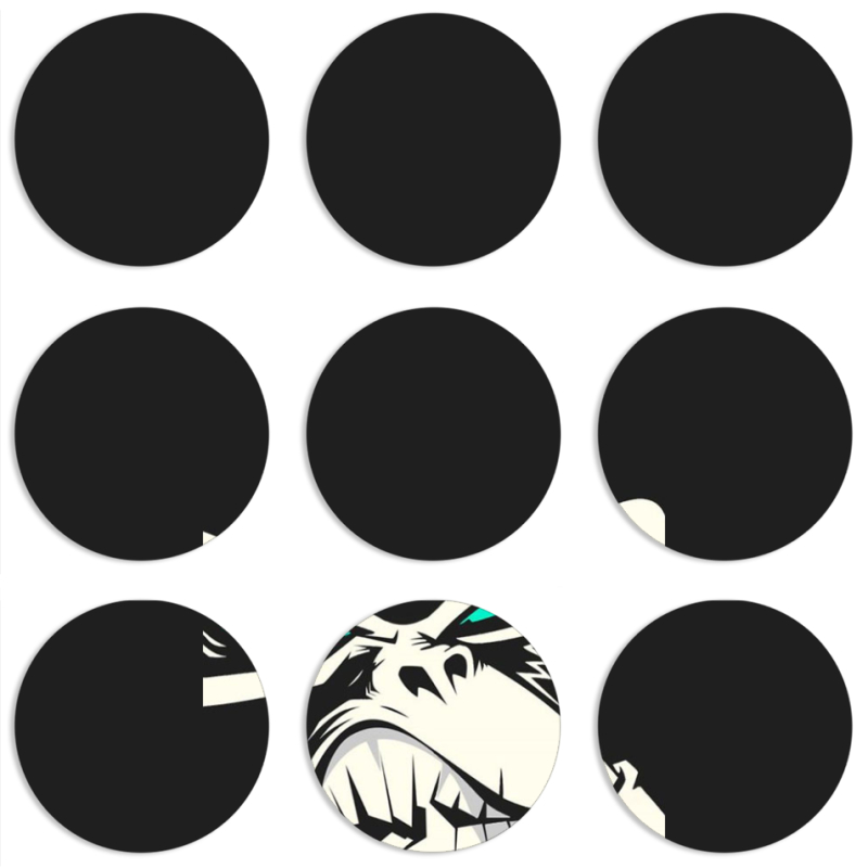 Магнитные фотопазлы круги d55 набор 9 штук 