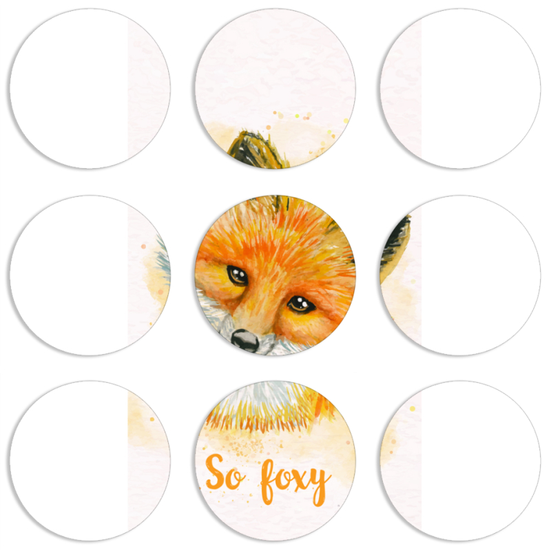 Магнитные фотопазлы круги d55 набор 9 штук 