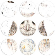 Магнитные фотопазлы круги d55 набор 9 штук 