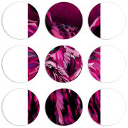 Магнитные фотопазлы круги d55 набор 9 штук 