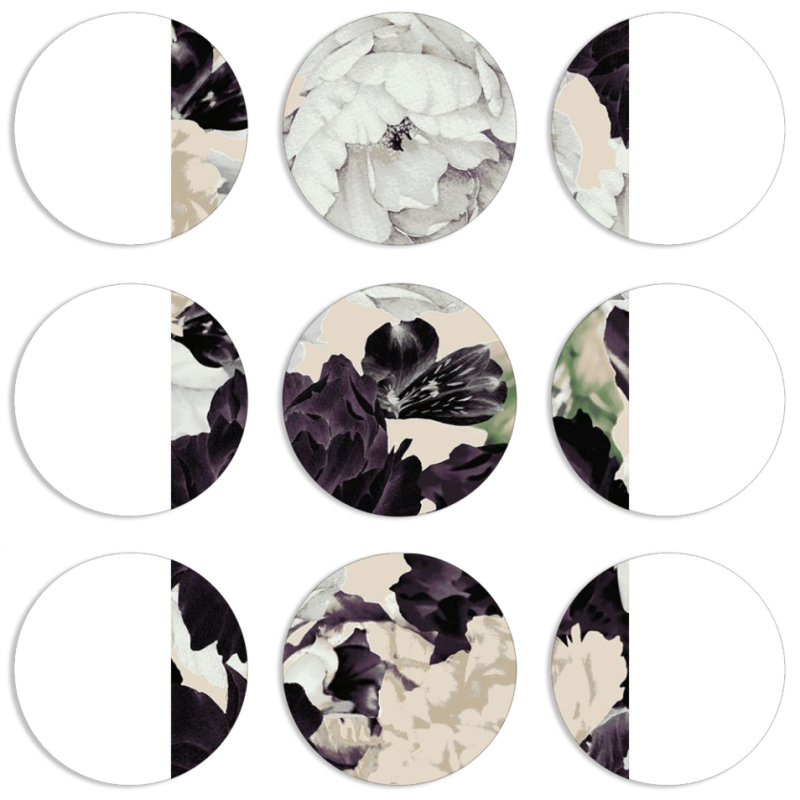 Магнитные фотопазлы круги d55 набор 9 штук 