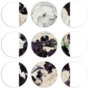 Магнитные фотопазлы круги d55 набор 9 штук 