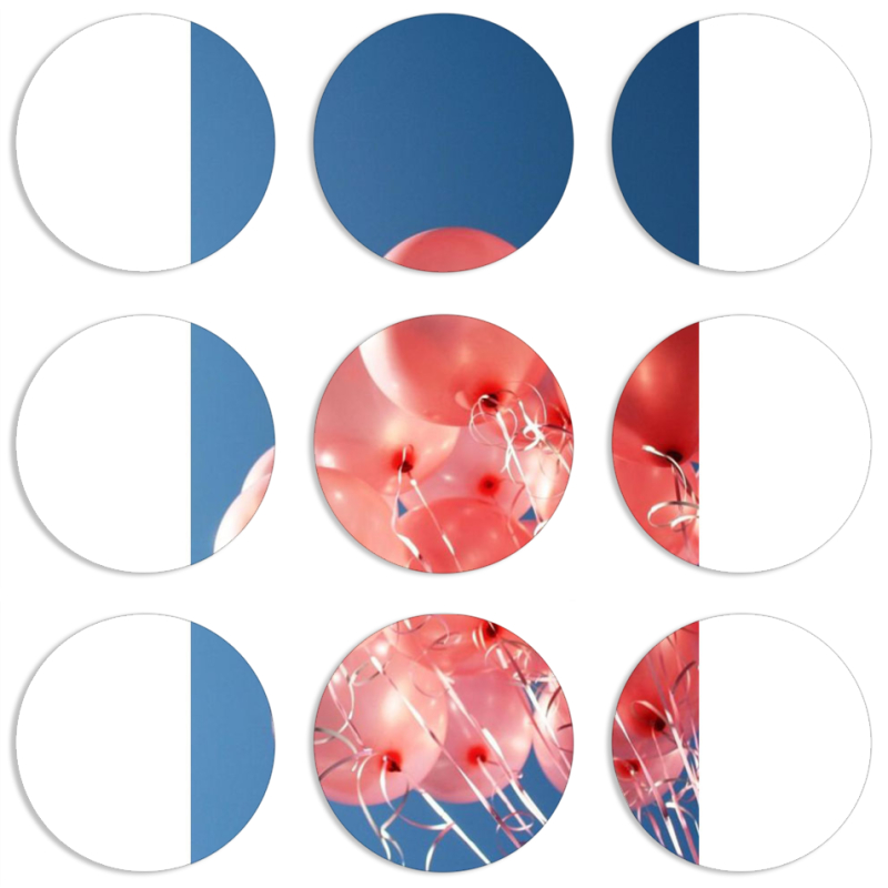 Магнитные фотопазлы круги d55 набор 9 штук 