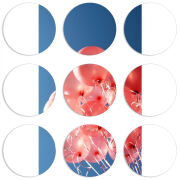 Магнитные фотопазлы круги d55 набор 9 штук 