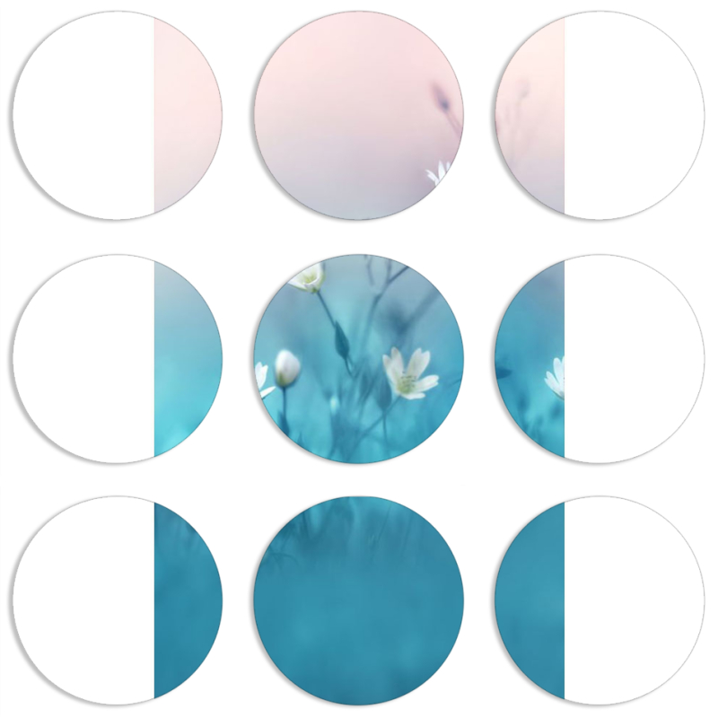 Магнитные фотопазлы круги d55 набор 9 штук 