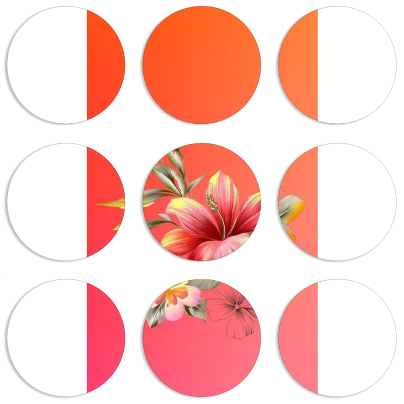 Магнитные фотопазлы круги d55 набор 9 штук 