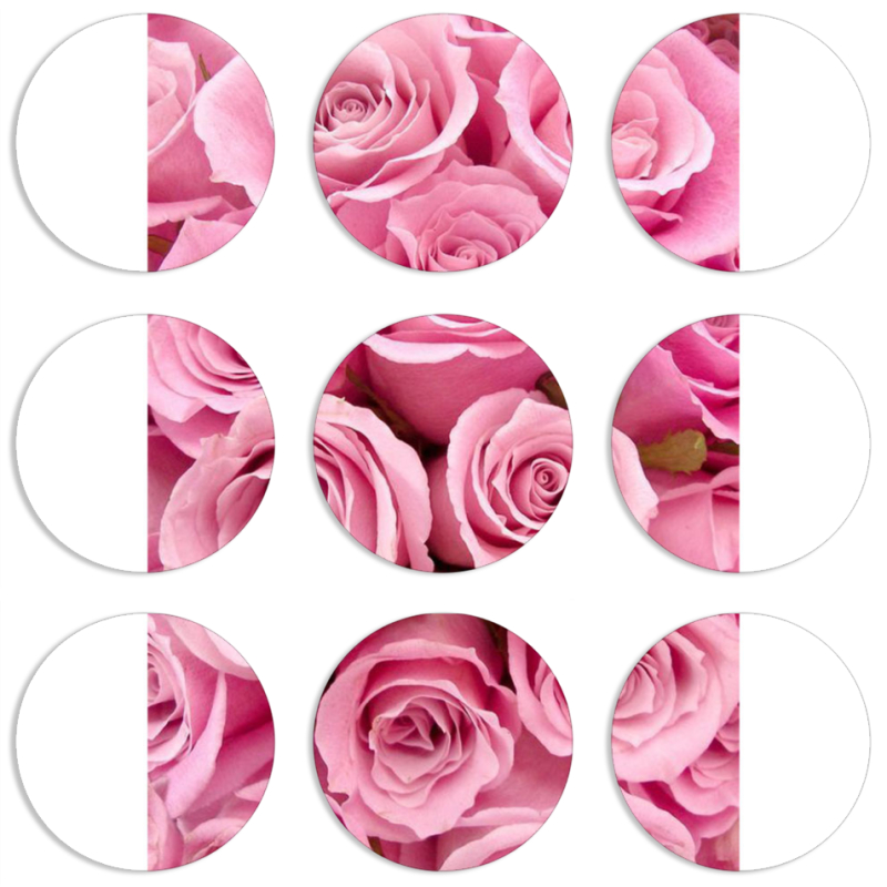 Магнитные фотопазлы круги d55 набор 9 штук 