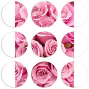 Магнитные фотопазлы круги d55 набор 9 штук 