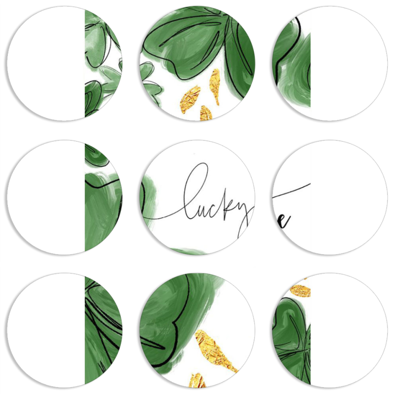 Магнитные фотопазлы круги d55 набор 9 штук 