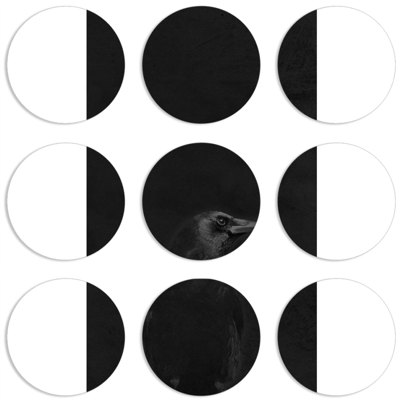 Магнитные фотопазлы круги d55 набор 9 штук 