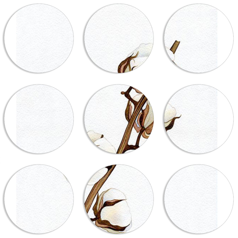 Магнитные фотопазлы круги d55 набор 9 штук 