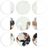 Магнитные фотопазлы круги d55 набор 9 штук 