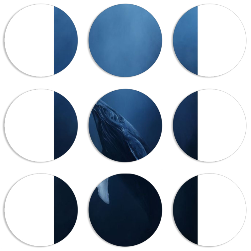 Магнитные фотопазлы круги d55 набор 9 штук 