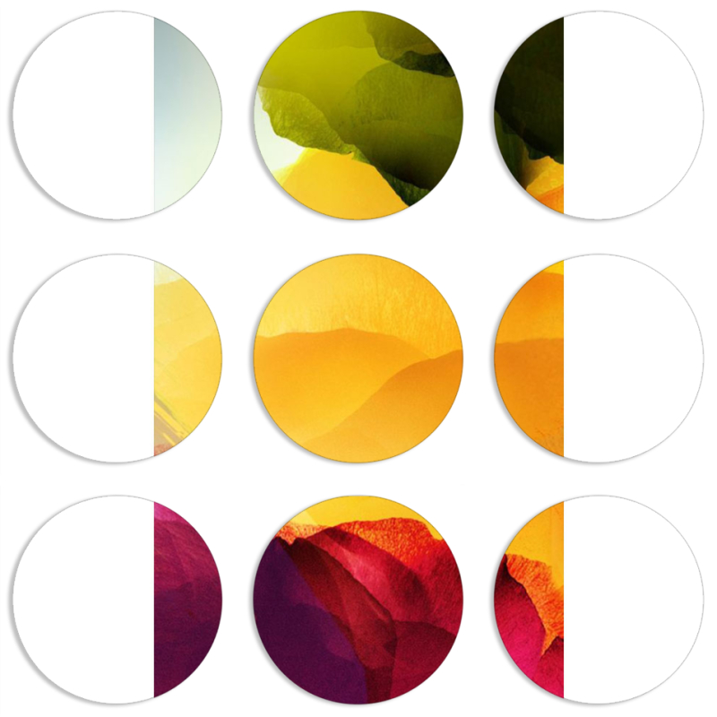 Магнитные фотопазлы круги d55 набор 9 штук 