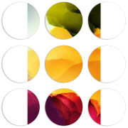 Магнитные фотопазлы круги d55 набор 9 штук 