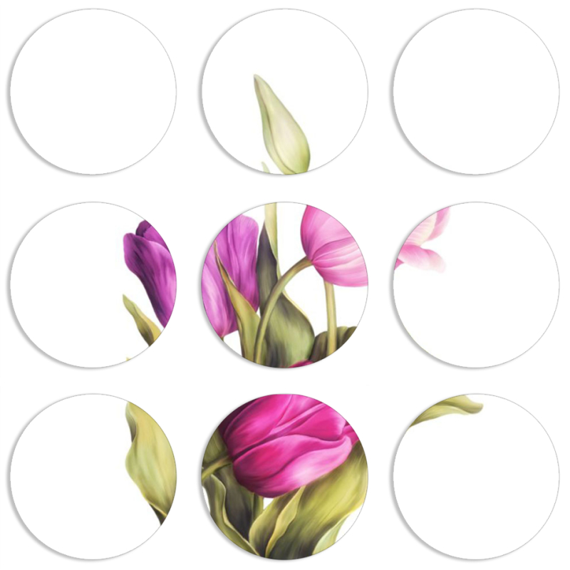 Магнитные фотопазлы круги d55 набор 9 штук 