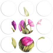 Магнитные фотопазлы круги d55 набор 9 штук 