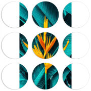 Магнитные фотопазлы круги d55 набор 9 штук 