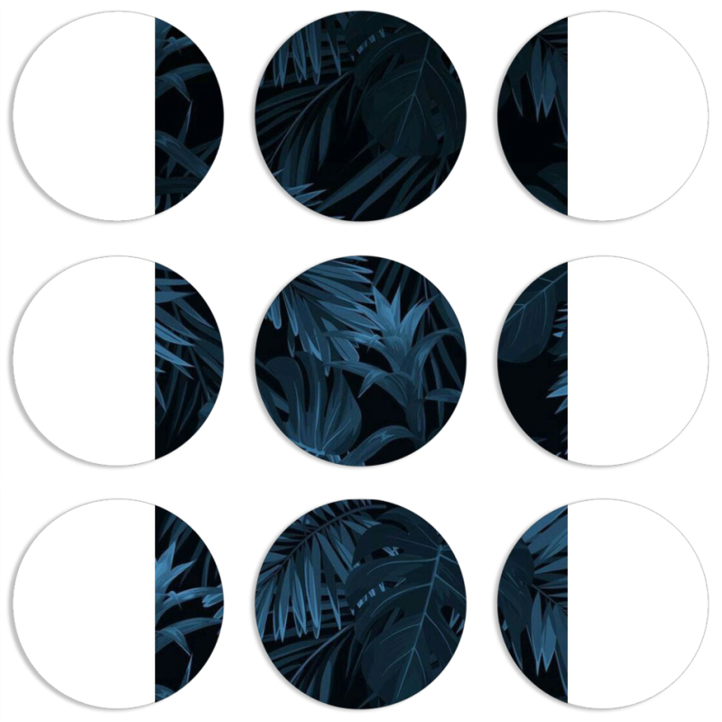 Магнитные фотопазлы круги d55 набор 9 штук 